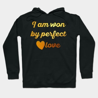 I am won by perfect love Hoodie